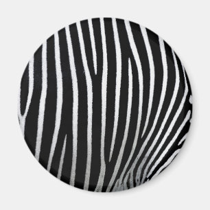 Aimant Zebra Skin