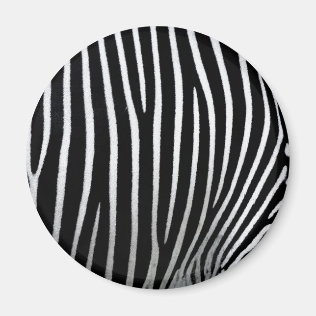 Aimant Zebra Skin (Devant)