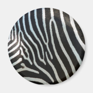Aimant Zebra Stripes