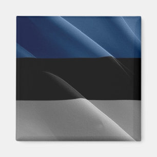 Aimant zEE002 ESTONIAN agitant DRAPEAU Estonie - Frigo
