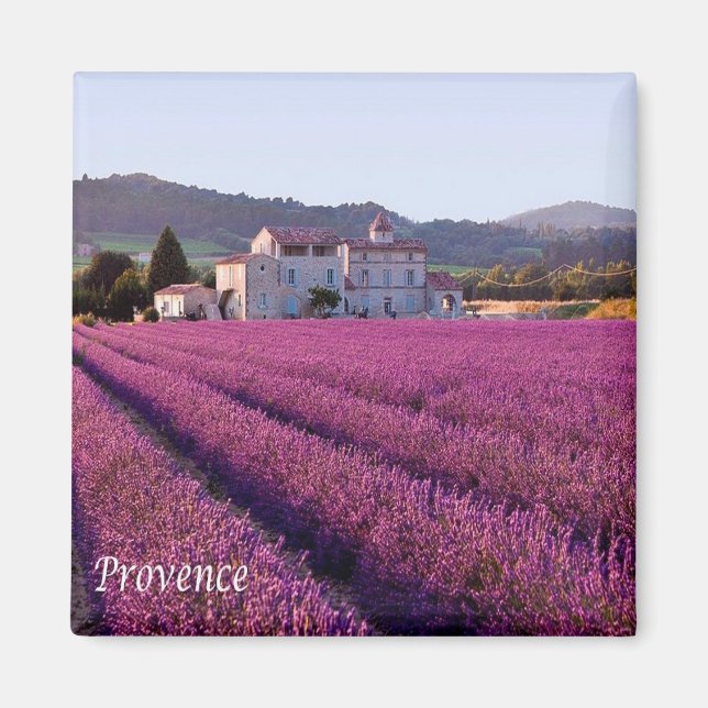 Aimant zFR149 PROVENCE, France, Fridge (Devant)