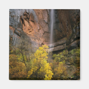 Aimant Zion National Park, Utah. États-Unis. Éphémère