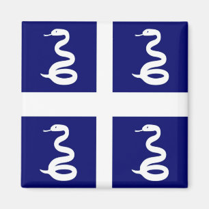 Aimant zMQ001 MARTINIQUE, Drapeau, Amérique, Frigo