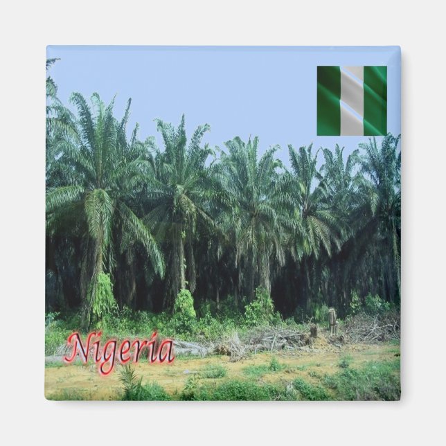 Aimant zNG009 NIGERIA, Palmiers, Afrique, Réfrigérateur (Devant)