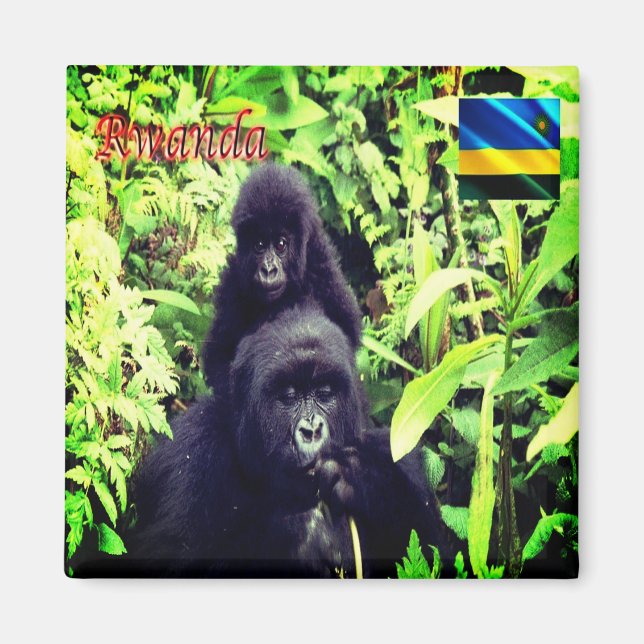 Aimant zRW003 RWANDA, Gorilla au parc national, Fridge (Devant)