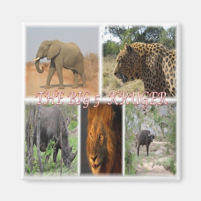 Aimant zZA027 AFRIQUE DU SUD, LE GROS 5 du réfrigérateur  (Devant)
