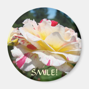 AIMANTS SOURIRES Cadeaux de Bureau Aimant Roses Ca
