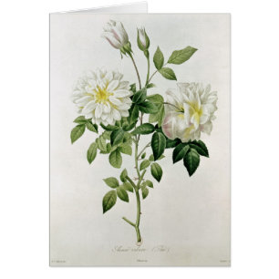 Aime Vibere engraved by Eustache Hyacinthe