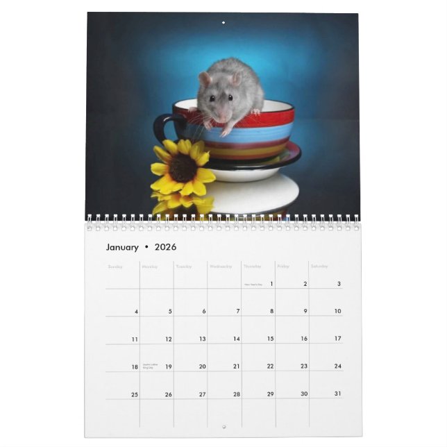 Aimee's rats 2010 calendar (Jan 2026)