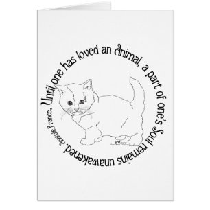 Aimer un chat
