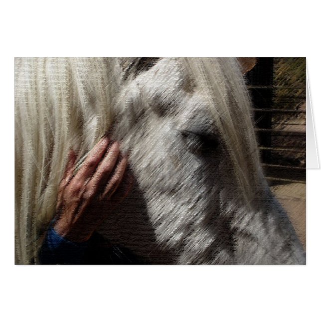 Aimer un cheval (Devant horizontal)