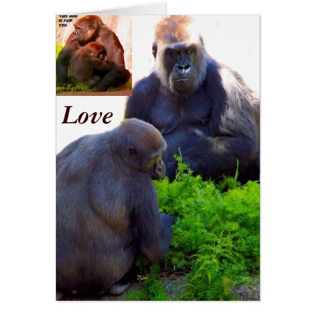 Aimez et Protégez_ (Devant)