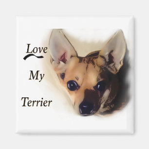 Aimez mon aimant de terrier