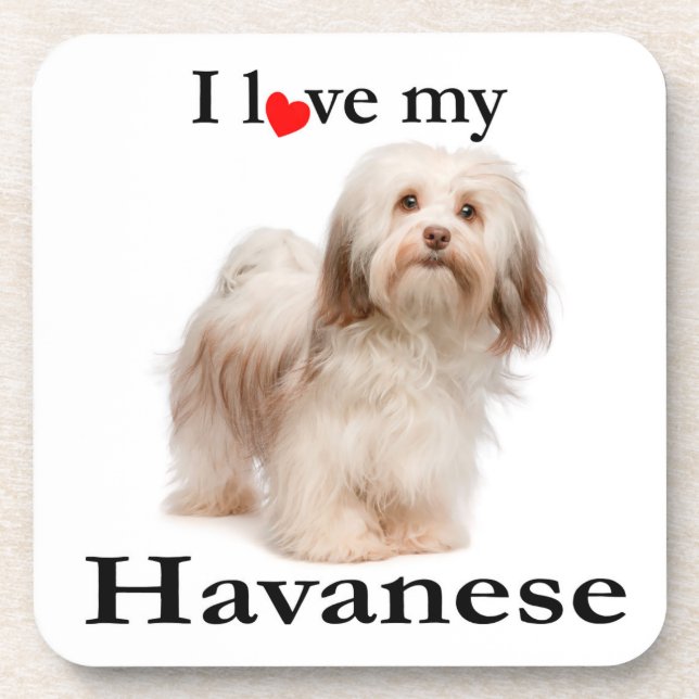 Aimez mon ensemble de dessous de verre de Havanese (Devant)