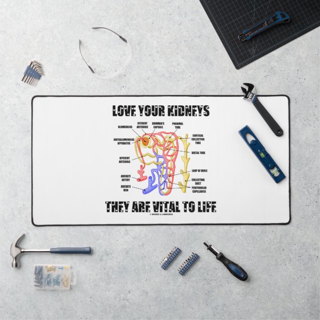 Aimez Vos Reins Ils Sont Vitaux À La Vie Nephron (Poste de travail)