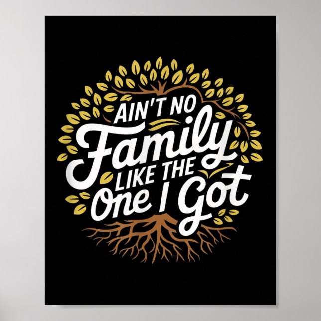Aint No Family Like The One I Got Funny Family Reu Poster (Front)