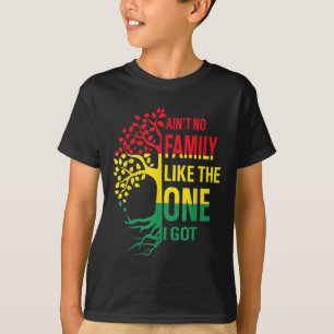 Aint No Family Like The One I Got Funny Family Reu T-Shirt