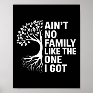 Aint No Family Like The One I Got Matching Family Poster