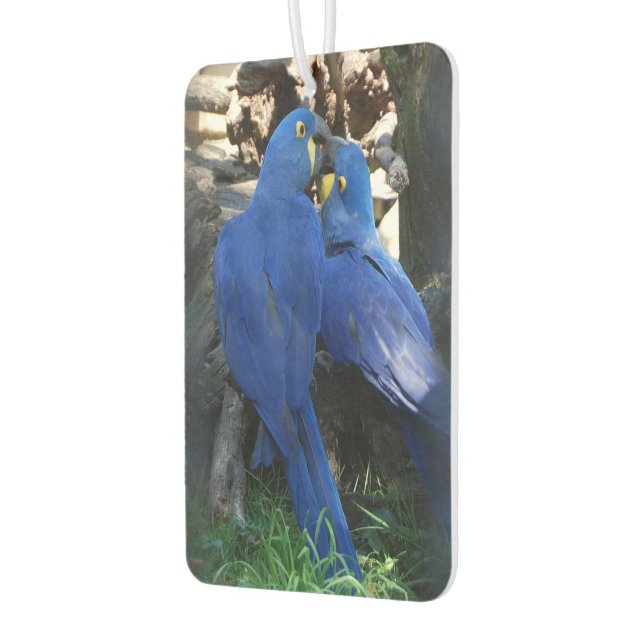 air car freshener _ parrots (Left)