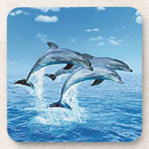 Air Dolphins Coasters