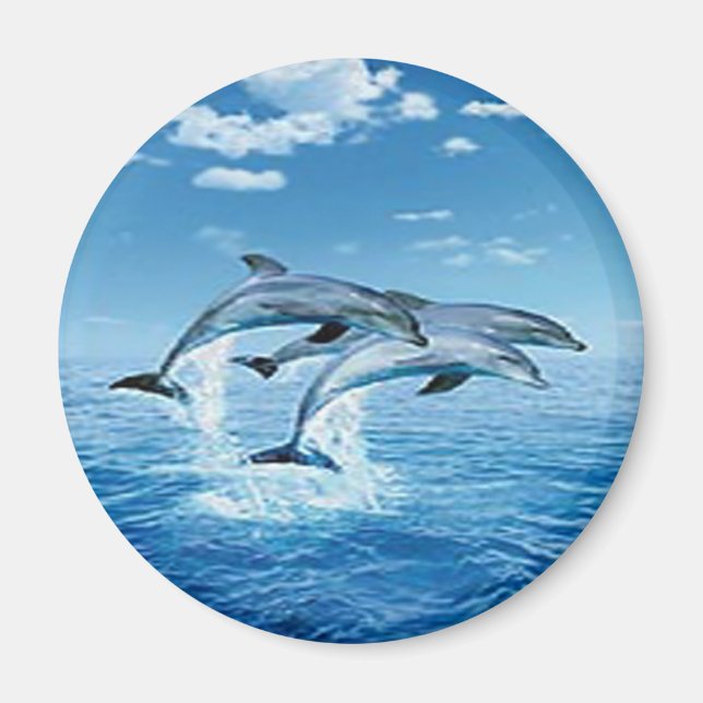 Air Dolphins Magnet (Front)