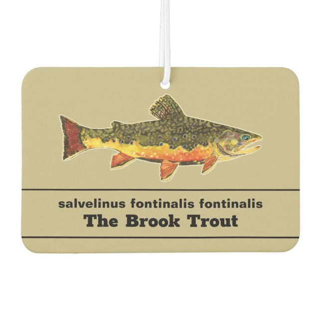 . AIR FRESHENER (Front)