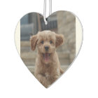 Air Freshener | Your Dog 2 Photo Upload Design