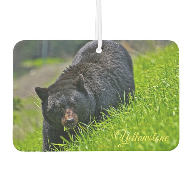 Air Freshner-Yellowstone Bear Air Freshener (Front)