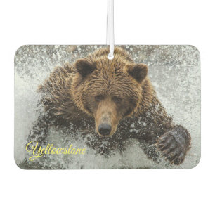 Air Freshner-Yellowstone Bear Freshener