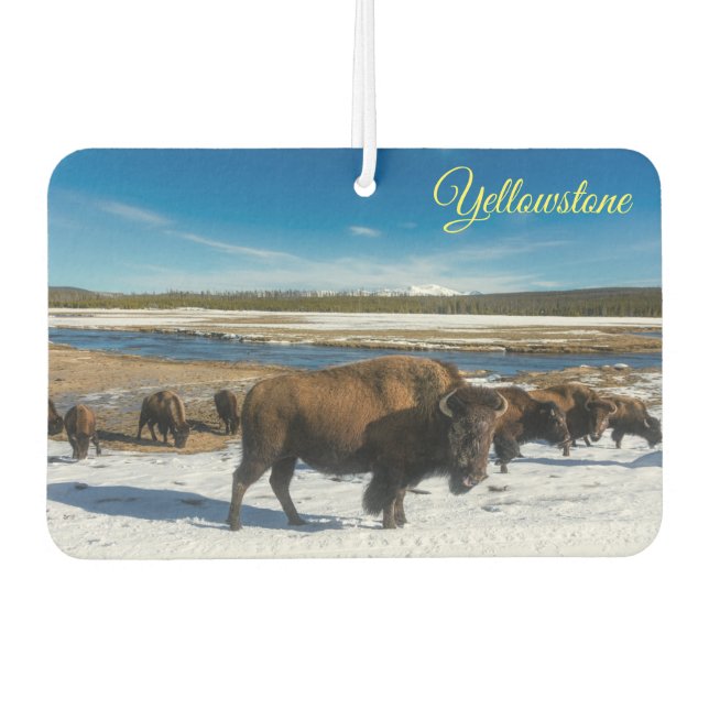 Air Freshner-Yellowstone Buffalo Air Freshener (Front)