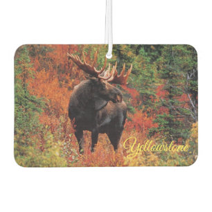 Air Freshner-Yellowstone Moose Air Freshener