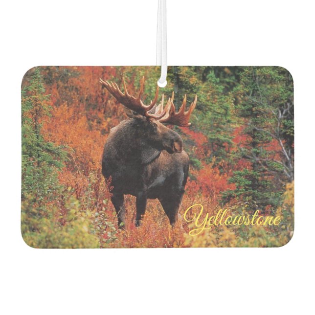 Air Freshner-Yellowstone Moose Air Freshener (Front)