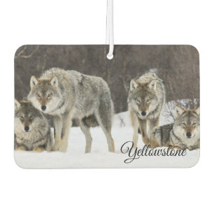 Air Freshner-Yellowstone Wolves Freshener