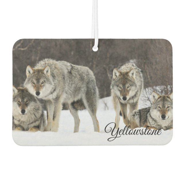 Air Freshner-Yellowstone Wolves Freshener (Front)