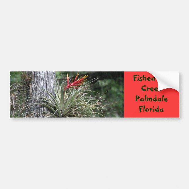 Air plant bumpersticker bumper sticker (Front)