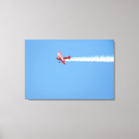 Air Show Stunt Plane