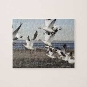 Airborne Snow Geese Jigsaw Puzzle