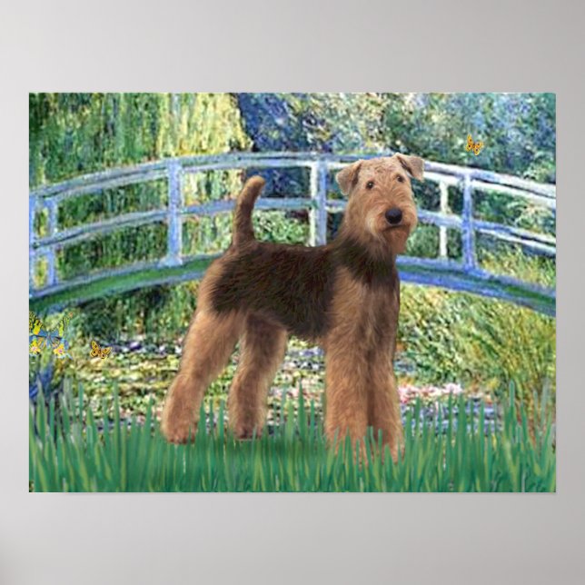Airedale (#6) - Lily Pond Bridge Poster (Front)