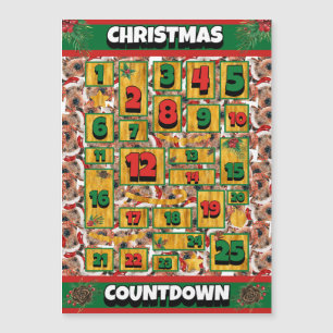 Airedale Dog Countdown Christmas Advent Calendar