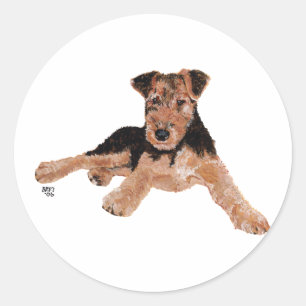 Airedale, Lakeland, Welsh Terrier Pup Classic Round Sticker