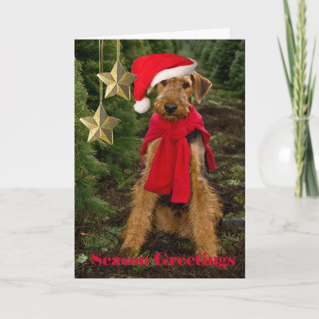 Airedale Season Greetings Holiday Card (Front)