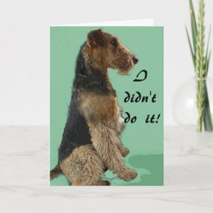 Airedale terrier Card