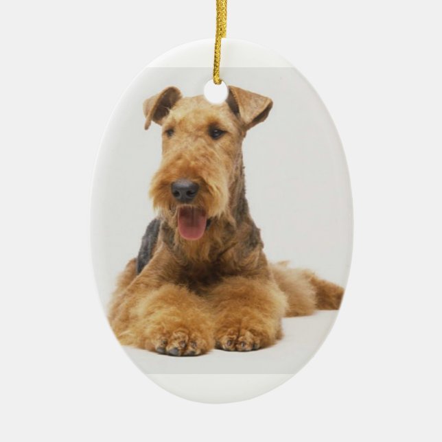 Airedale Terrier Christmas Ornament (Front)
