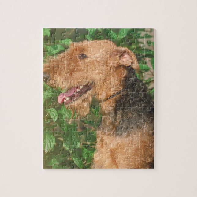 Airedale Terrier Dog Puzzle (Vertical)