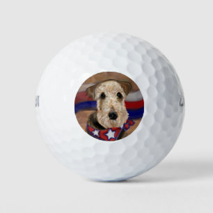 AIREDALE TERRIER GOLF BALLS