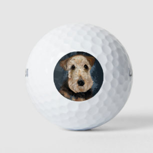 AIREDALE TERRIER GOLF BALLS
