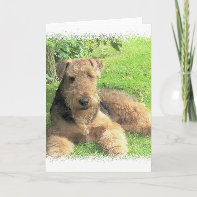 Airedale Terrier Greeting Card (Front)