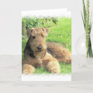 Airedale Terrier Greeting Card