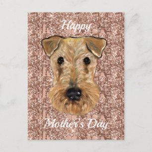  AIREDALE TERRIER     POSTCARD