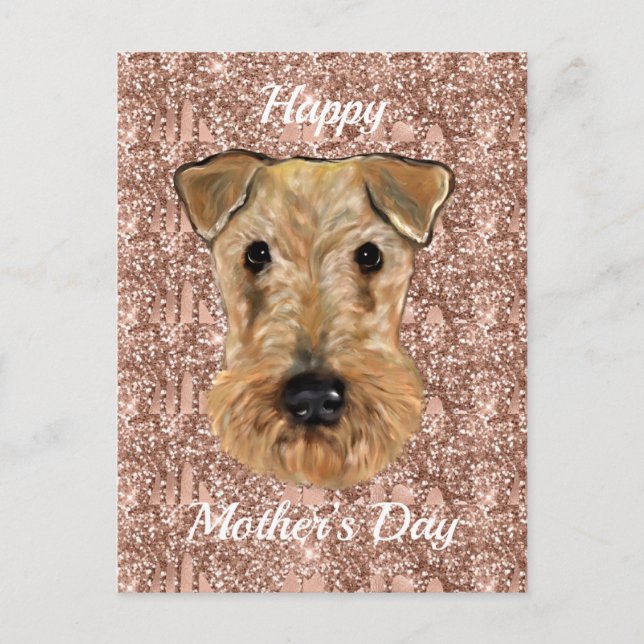  AIREDALE TERRIER     POSTCARD (Front)